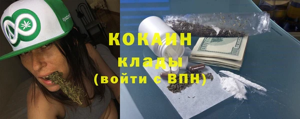 индика Алексин