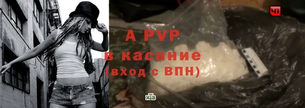 индика Алексин
