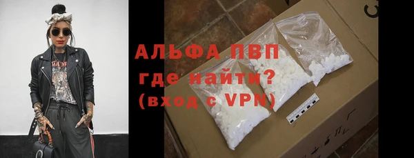 индика Алексин