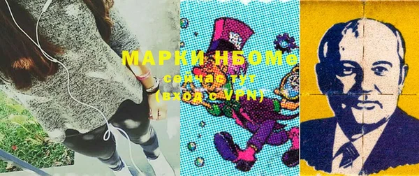индика Алексин